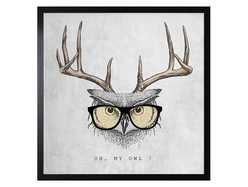 Obraz Sowa 50x50 cm