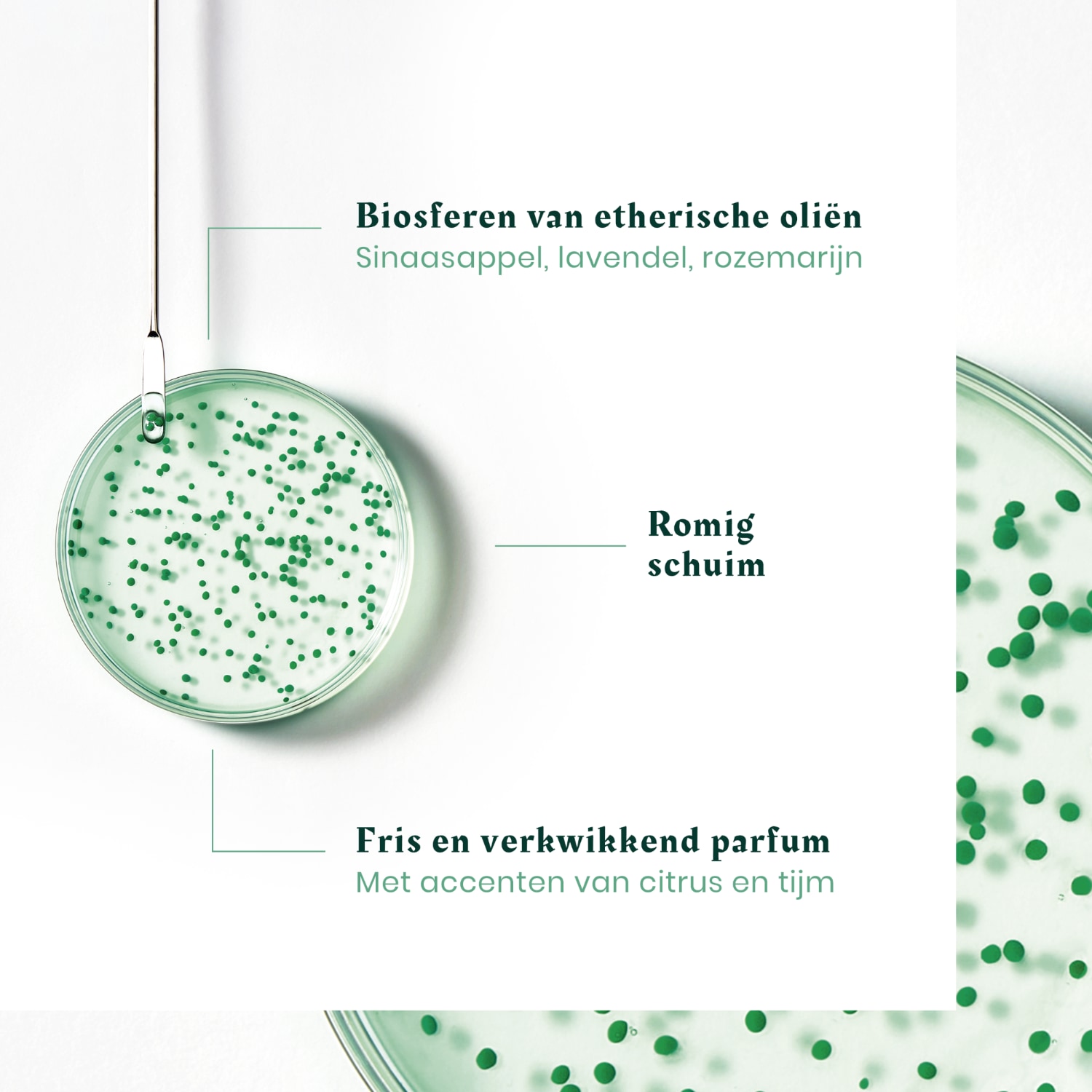 René Furterer Forticea Versterkende Vitaliteitsshampoo - 200 ml