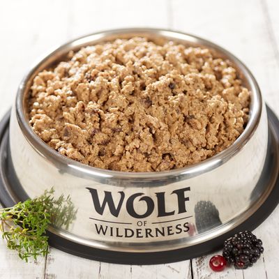 Wolf of Wilderness – stada mieszane z wolnego wybiegu