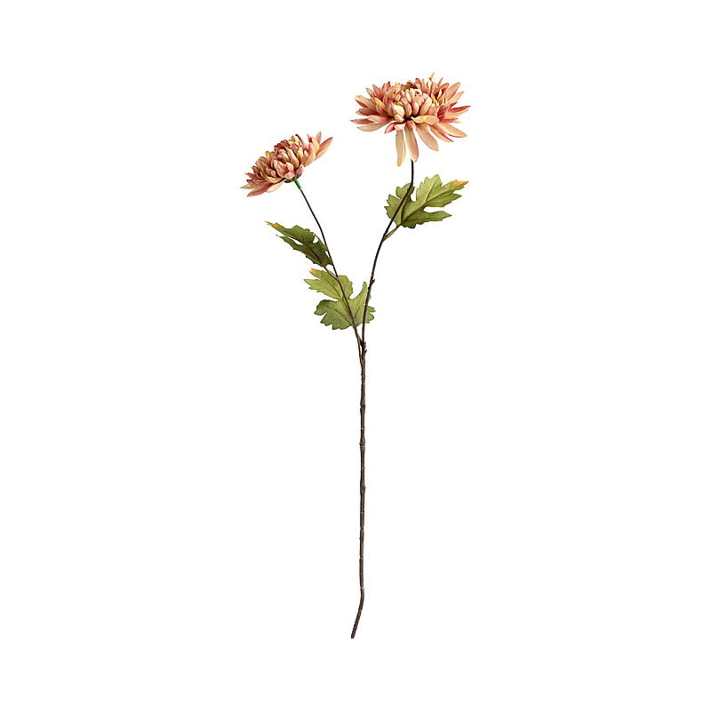 Etusivu Krysanteemi 56 cm duo