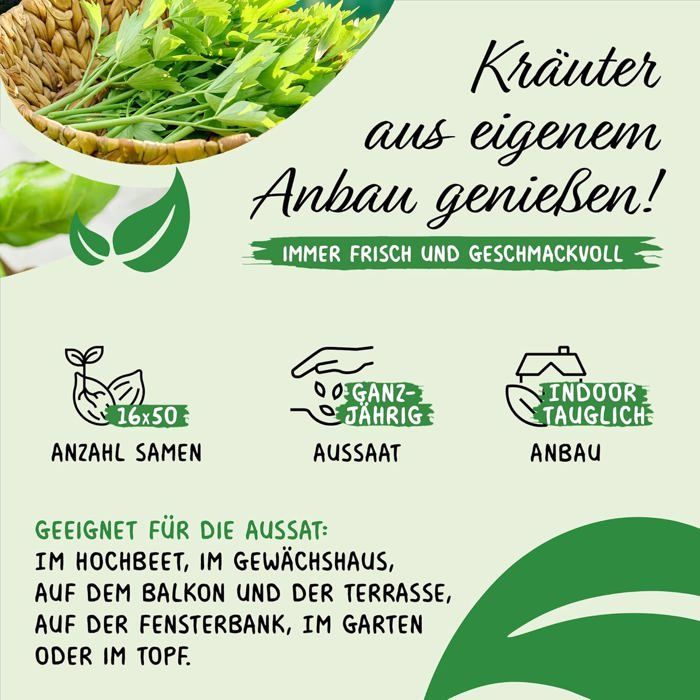 Kit de Sementes de Ervas PRADEMIR - 16 Variedades de Ervas Aromáticas - Sementes 100% Naturais - Variedades Mais Populares