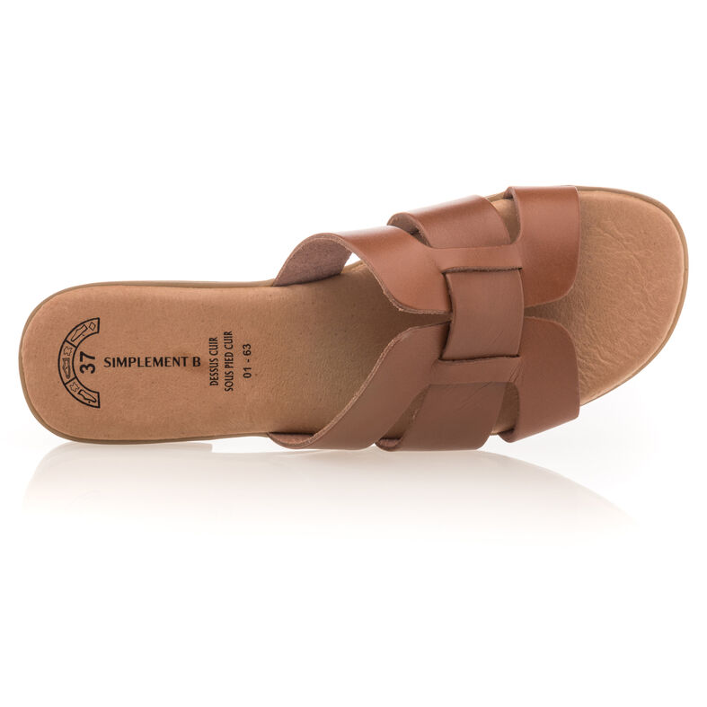 Women's Brown Mules/Clogs