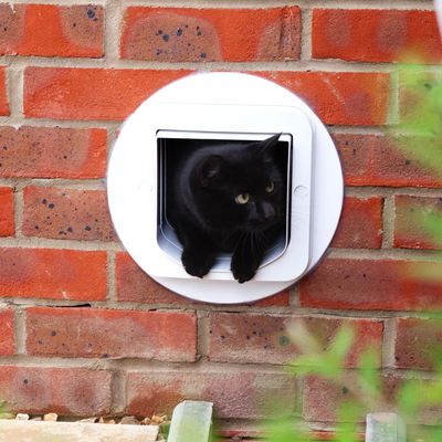 SureFlap Microchip Kattenluik Aansluiten