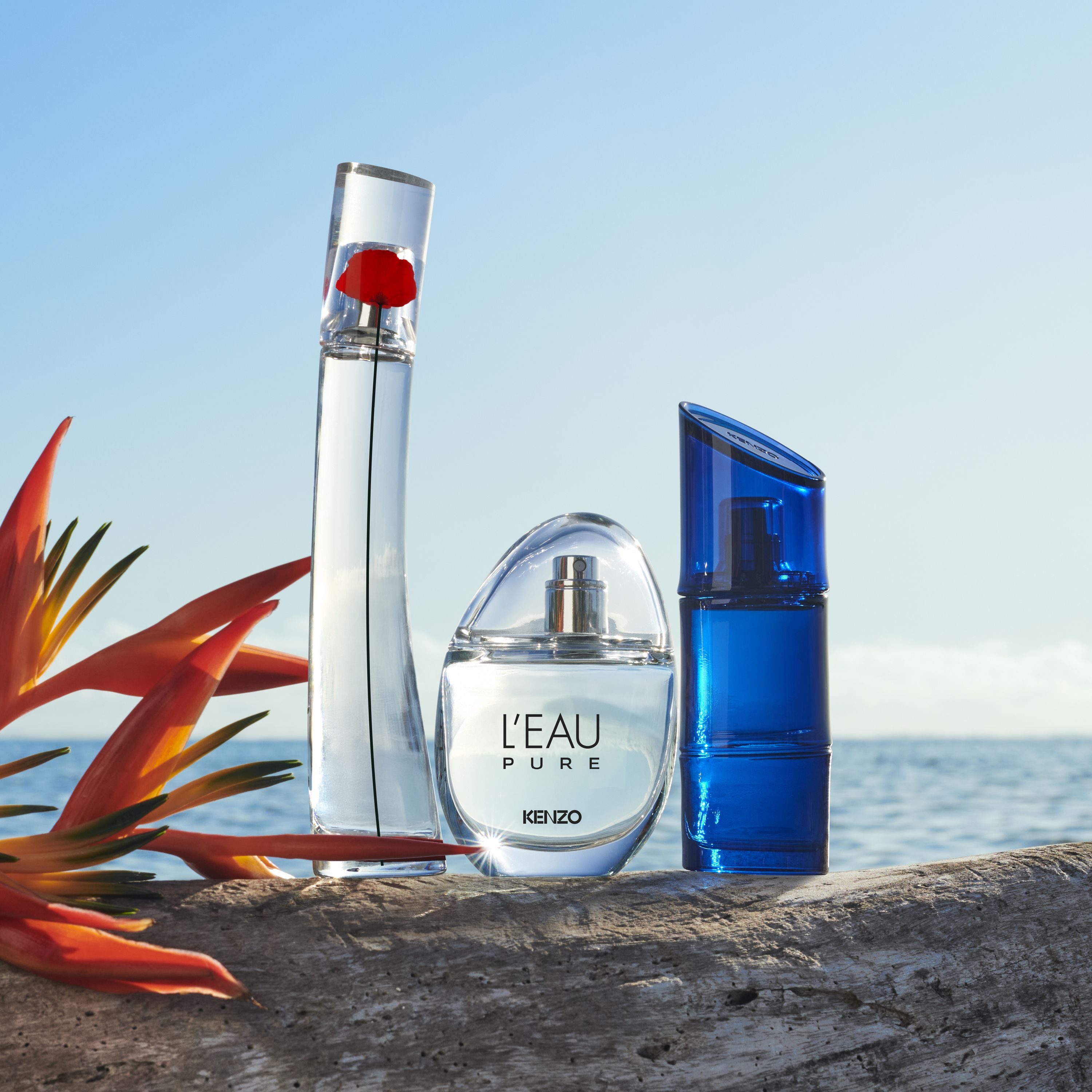 L'Eau Pure Eau de Parfum Moteriški kvepalai