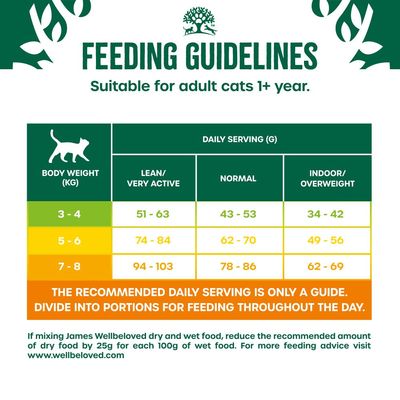 James Wellbeloved hårboll för vuxna katter - kalkon
