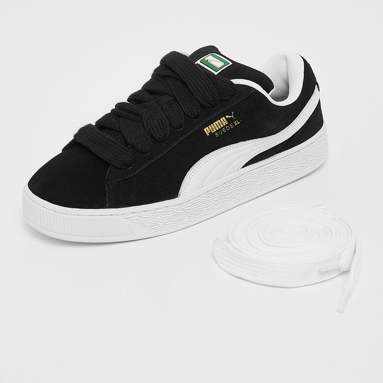 Ante XL
