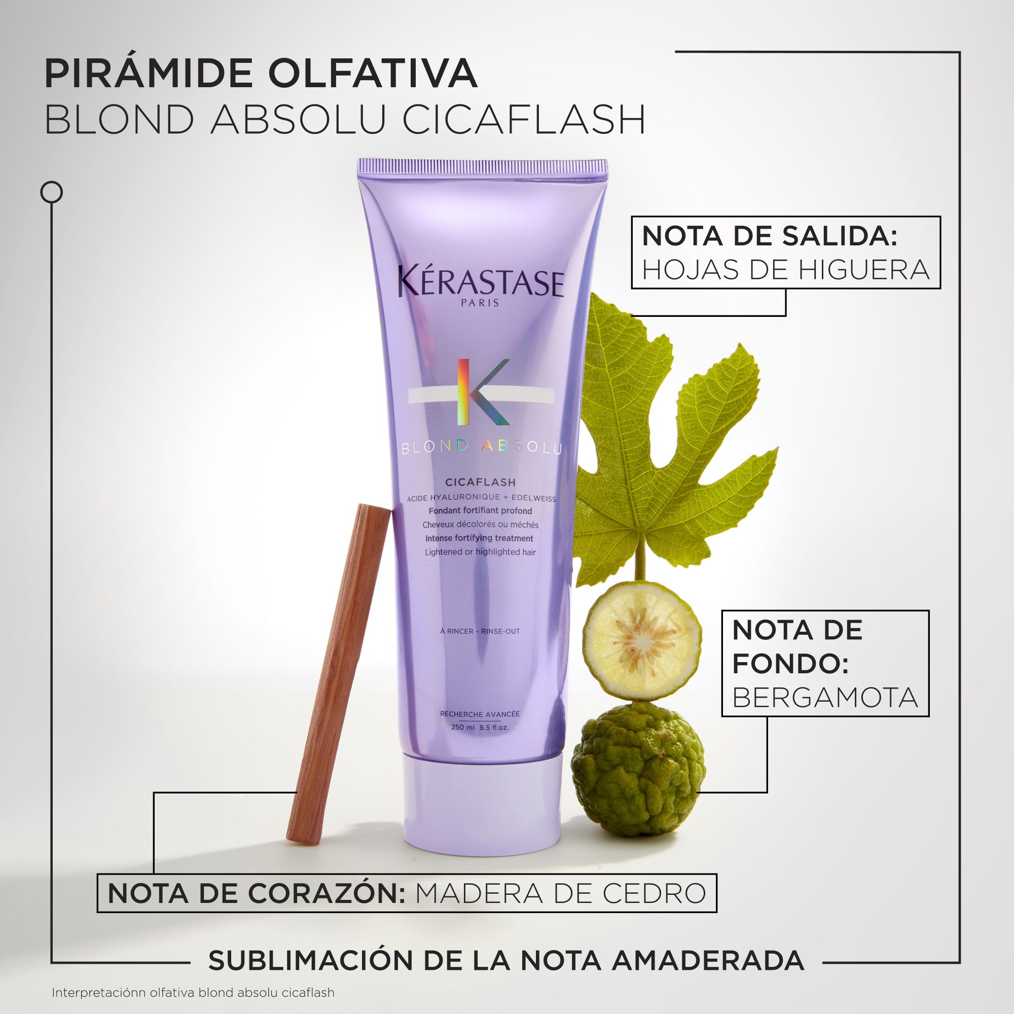 Cicaflash Blond Absolu Conditioner Regeneratorji