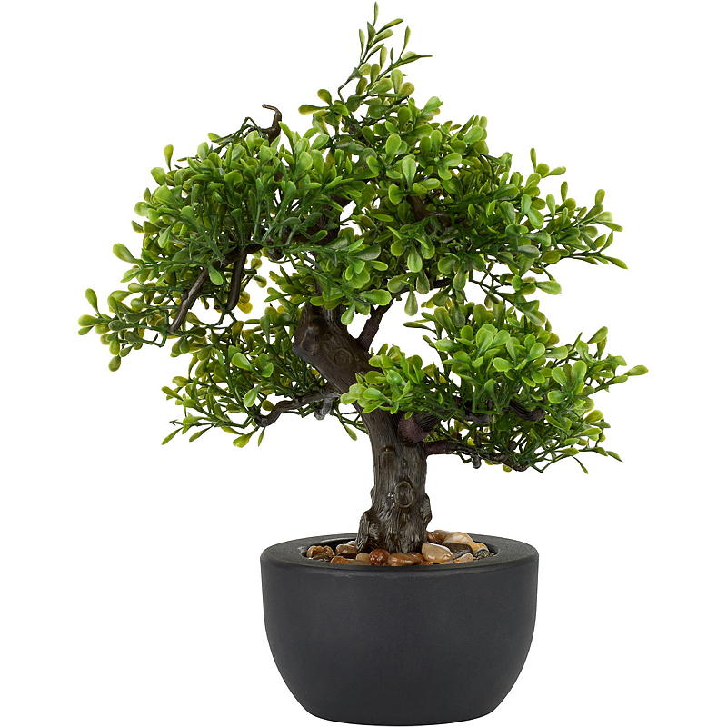 Haus-Bonsai-Baum 30 cm