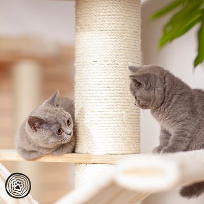 Škrabadlo Natural Paradise - Magnolia XL Plus