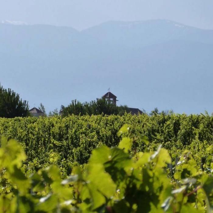 Vino rosso biologico argentino Sierra de Plata 2025, Les Passeurs de Vins, set regalo da 6 bottiglie