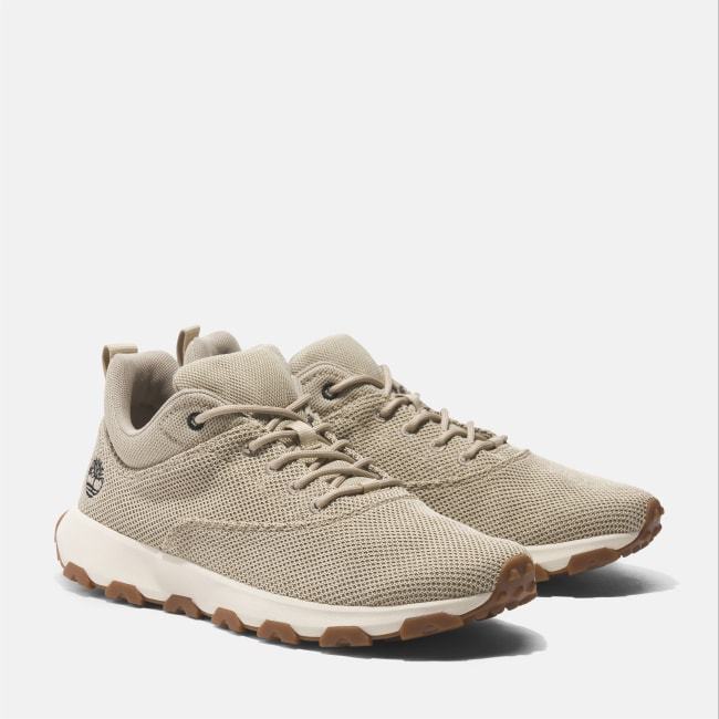 Sneaker Winsor Park da Uomo in beige