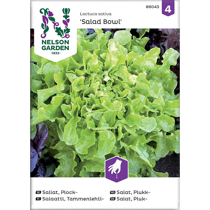 Nelson Garden Seed Salat Pick, salatbolle