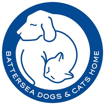 Βούρτσα Αποτρίχωσης Pet Teezer Μικρή