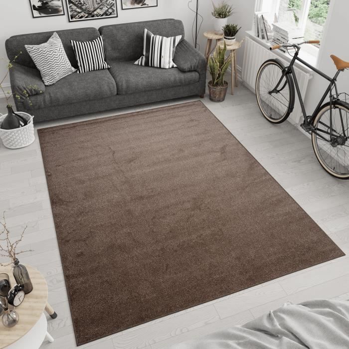 TAPISO Tapis Salon Chambre Poil Court NOYAN Marron Uni Moderne Polypropylène Intérieur 160x220 cm