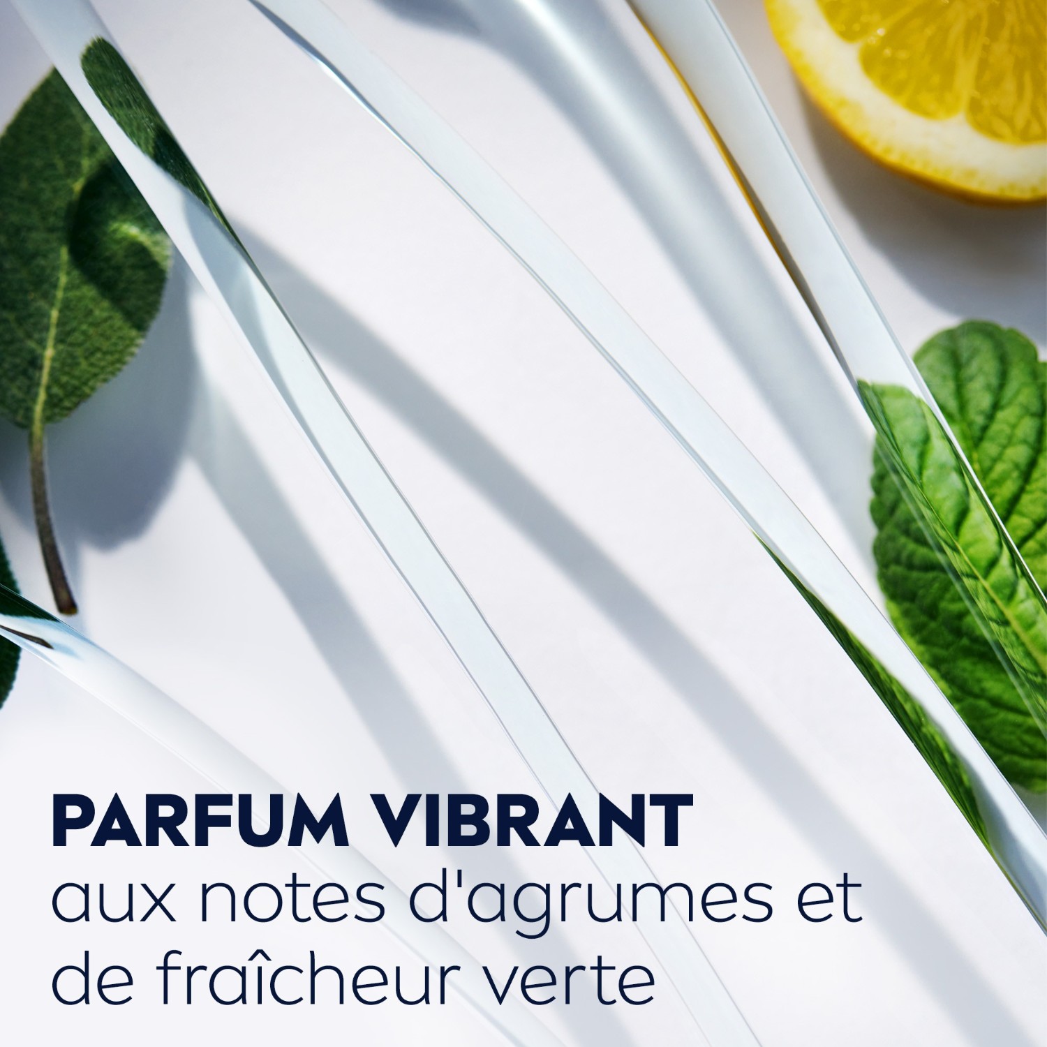 NIVEA Gel douche homme fraîcheur 3en1 visage corps&cheveux Agrumes