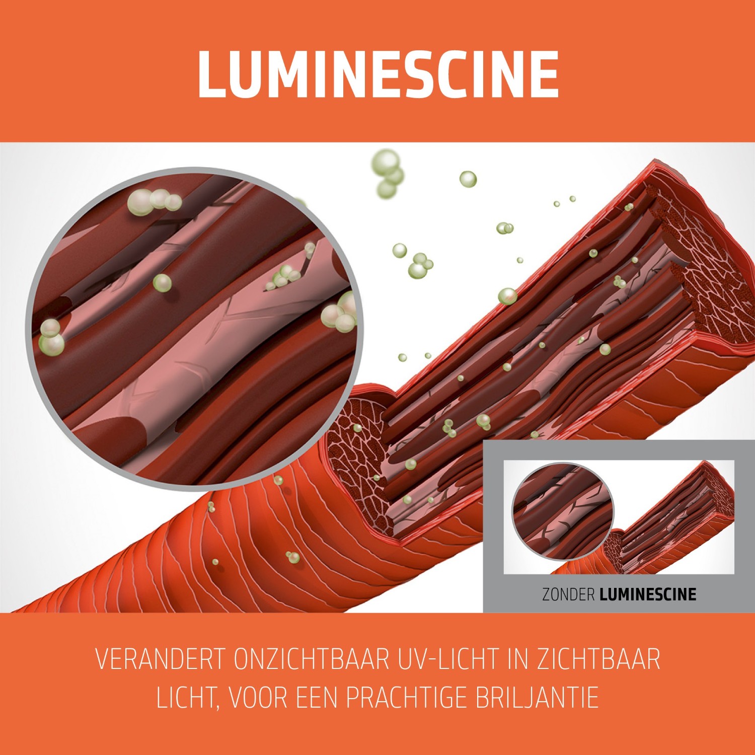 Goldwell Dualsenses Color Revive Farbauffrischender hoitoaine – Kupfer