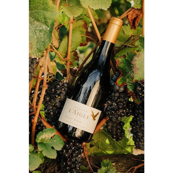 Domaine de l'Aigle Pinot Noir 2024 Lot 6 Bouteilles 75cl
