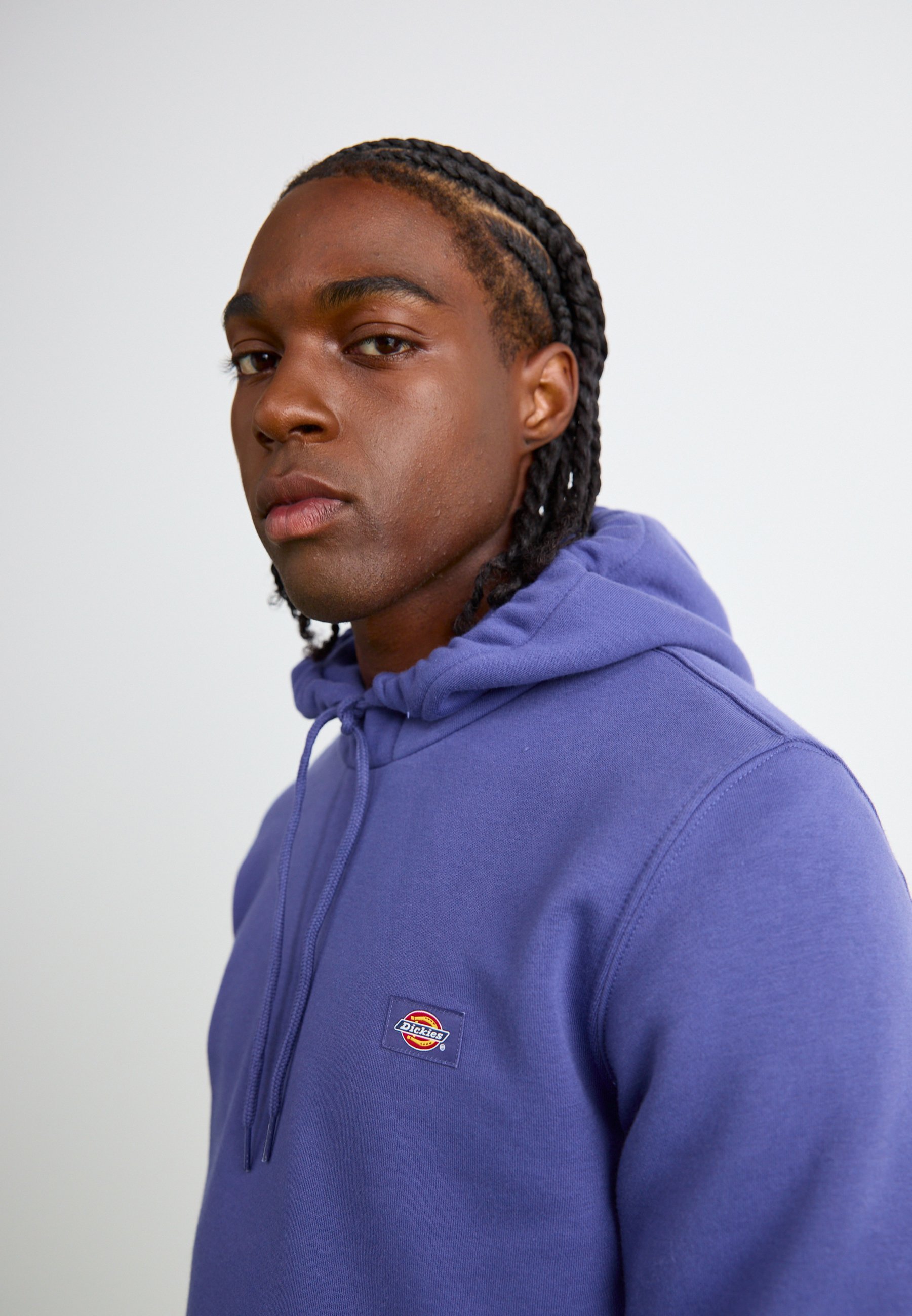 Dickies Hoodies
