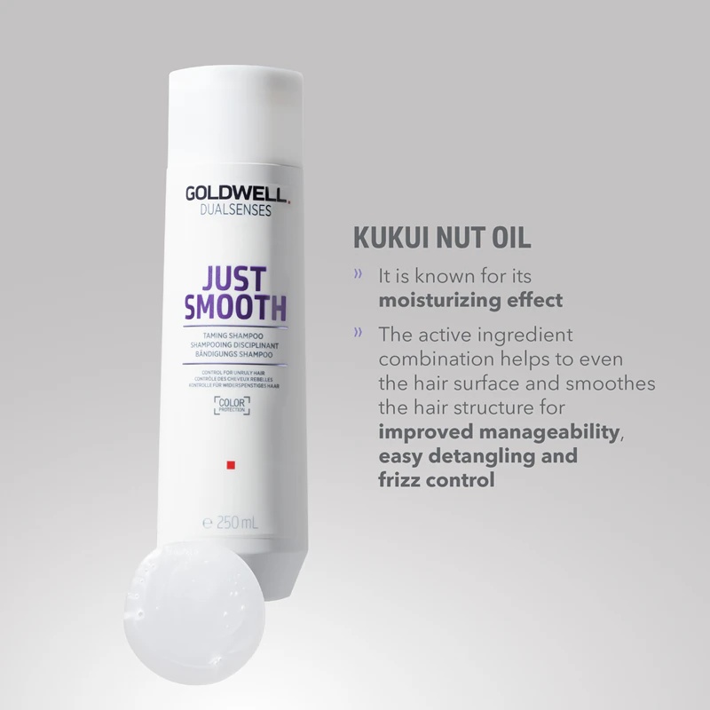 Goldwell Dualsenses Just Smooth šampon za glajenje las, ki jih je težko oblikovati