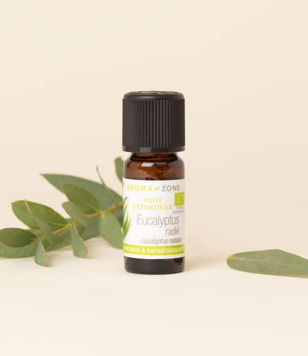 Biologische etherische olie van Eucalyptus radiata 10 ml