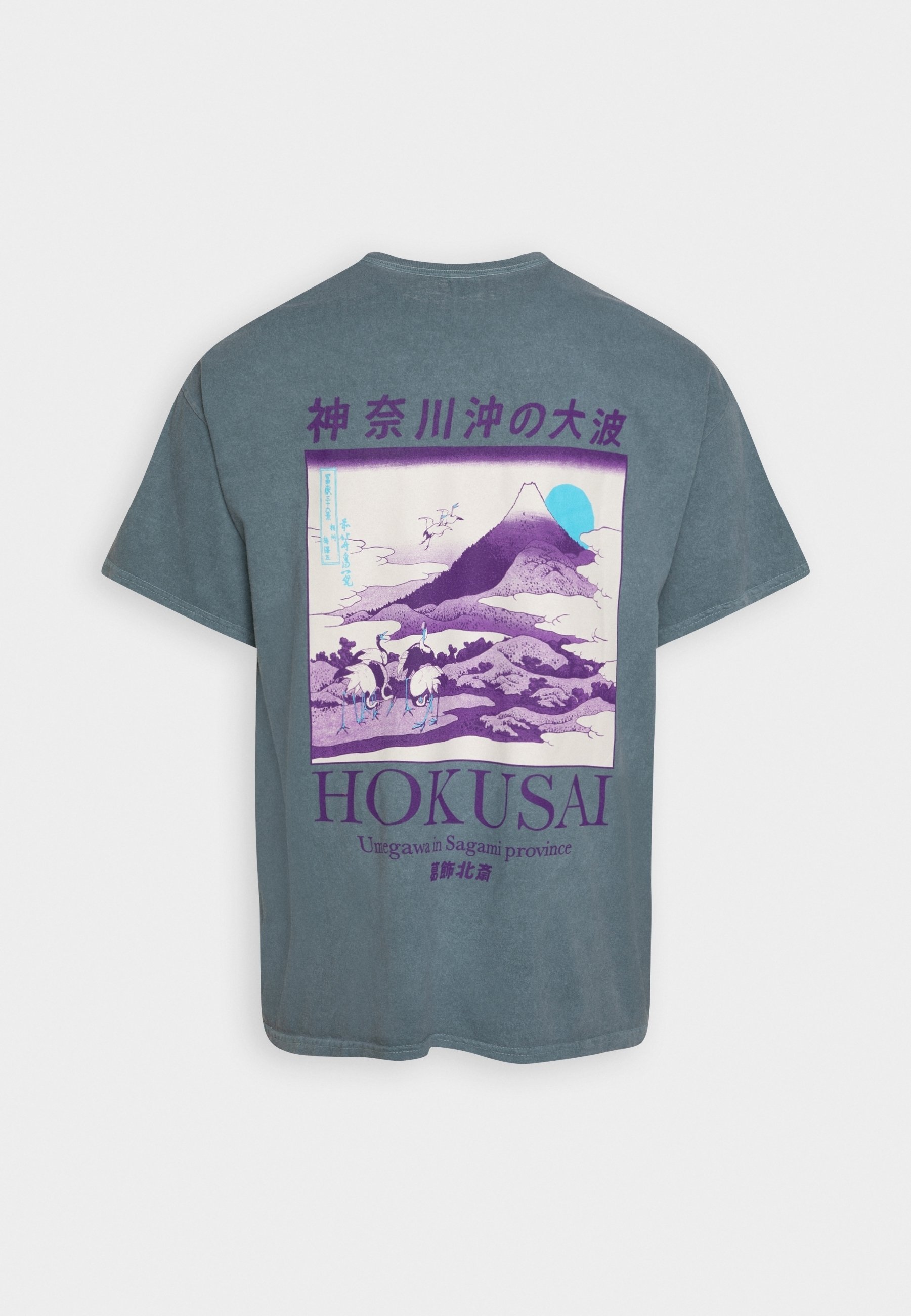 BDG Urban Outfitters T-shirt met print - blauw