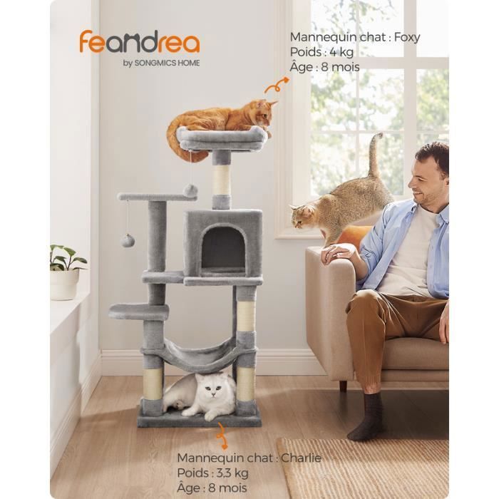 Arbre à Chat - FEANDREA - Hauteur 112 cm - 4 Poteaux à Griffer - 2 Plateformes - 1 Niche - 1 Hamac - Gris Clair