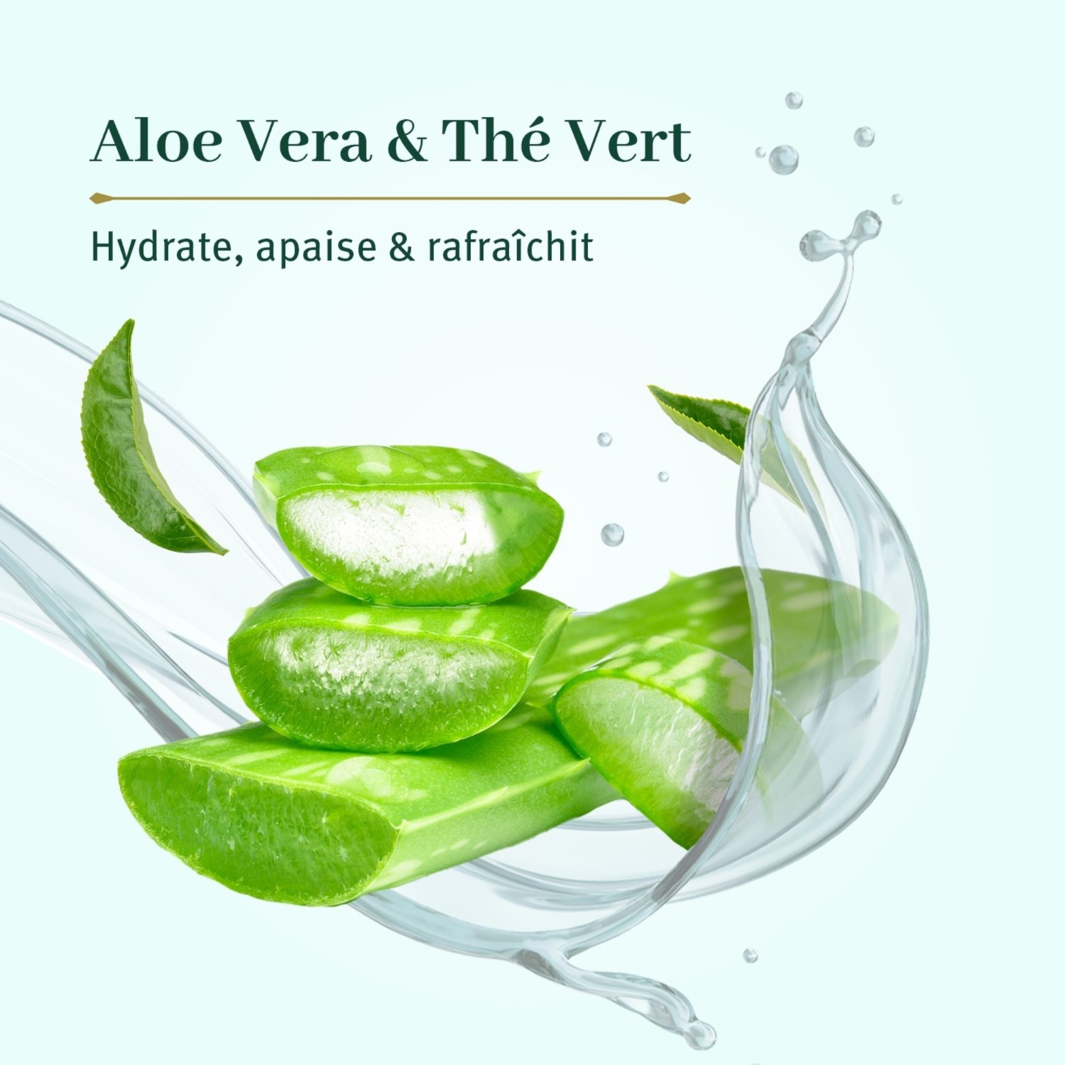 Le Petit Olivier Soin de Jour Hydratant Aloe Vera & Thé Vert