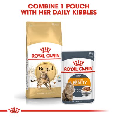 Royal Canin Bengal Adulto