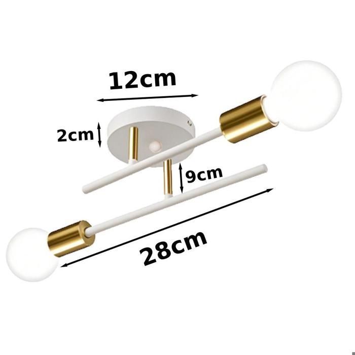WOTTES Lustre Plafonnier/Applique Murale Industriel, 2 Lumières E27 Lampe de Plafond Rétro Vintage en Métal Blanc et Cuivre 1pcs