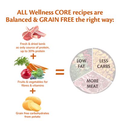 Wellness Core All Breeds Adult Lamb Dry Dog Food