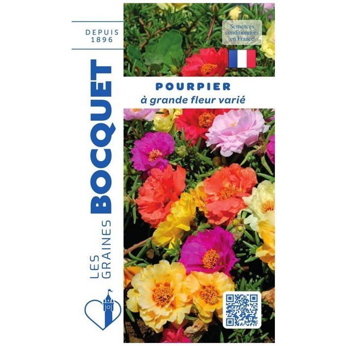 Semilla - Variedad de verdolaga de flores grandes y dobles