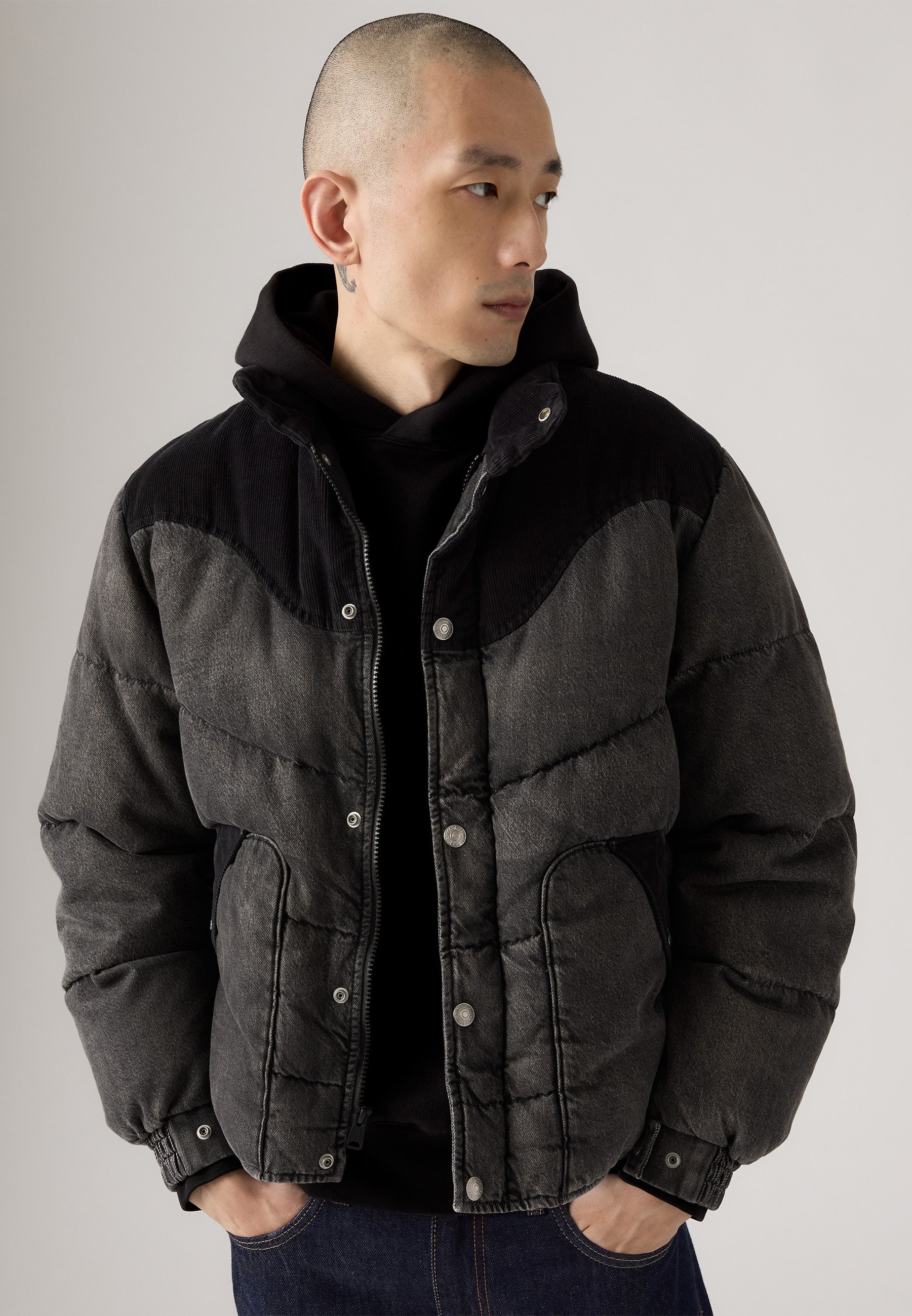 Levi's® WILD WEST PUFFER - Giacca imbottita - Hamilton Heights