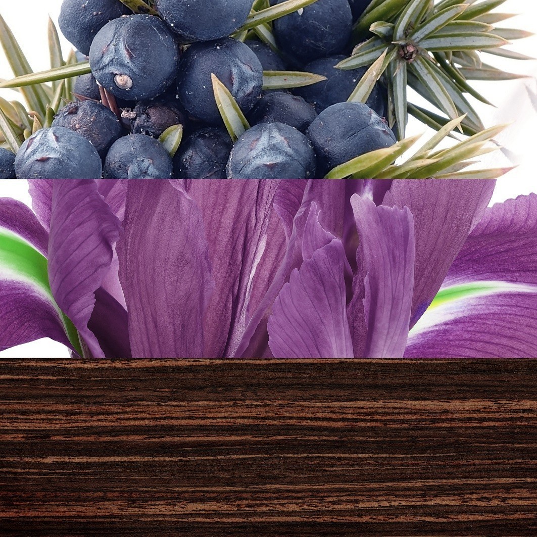 Davidoff The Game toaletna voda - 100 ml