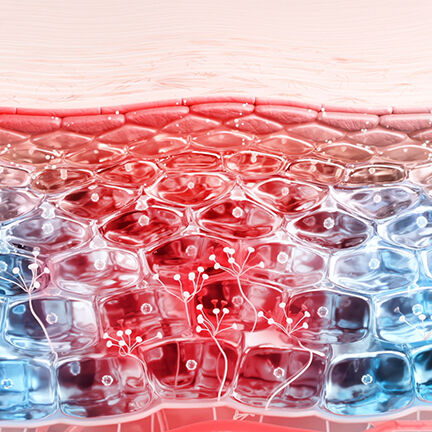 Bioderma Sensibio