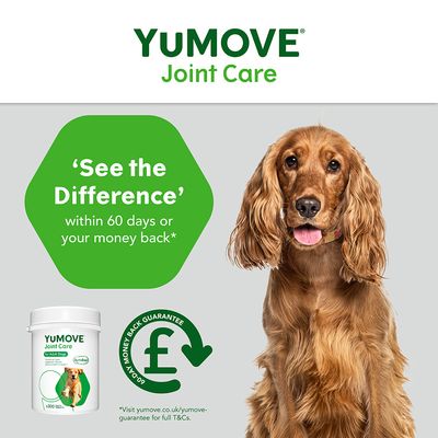 YuMOVE Gelenkpflege für erwachsene Hunde