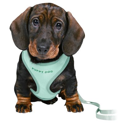Pettorina morbida per cuccioli Trixie Junior con guinzaglio
