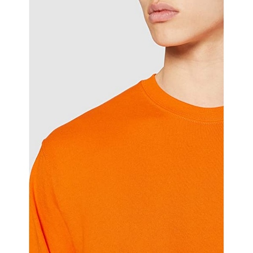  Sudadera Básica Ligera Fruit Of The Loom Setin