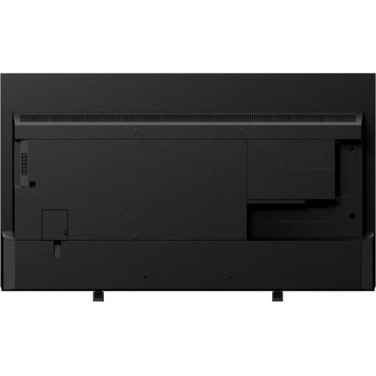 TV OLED 4K TX-48JZ1000E