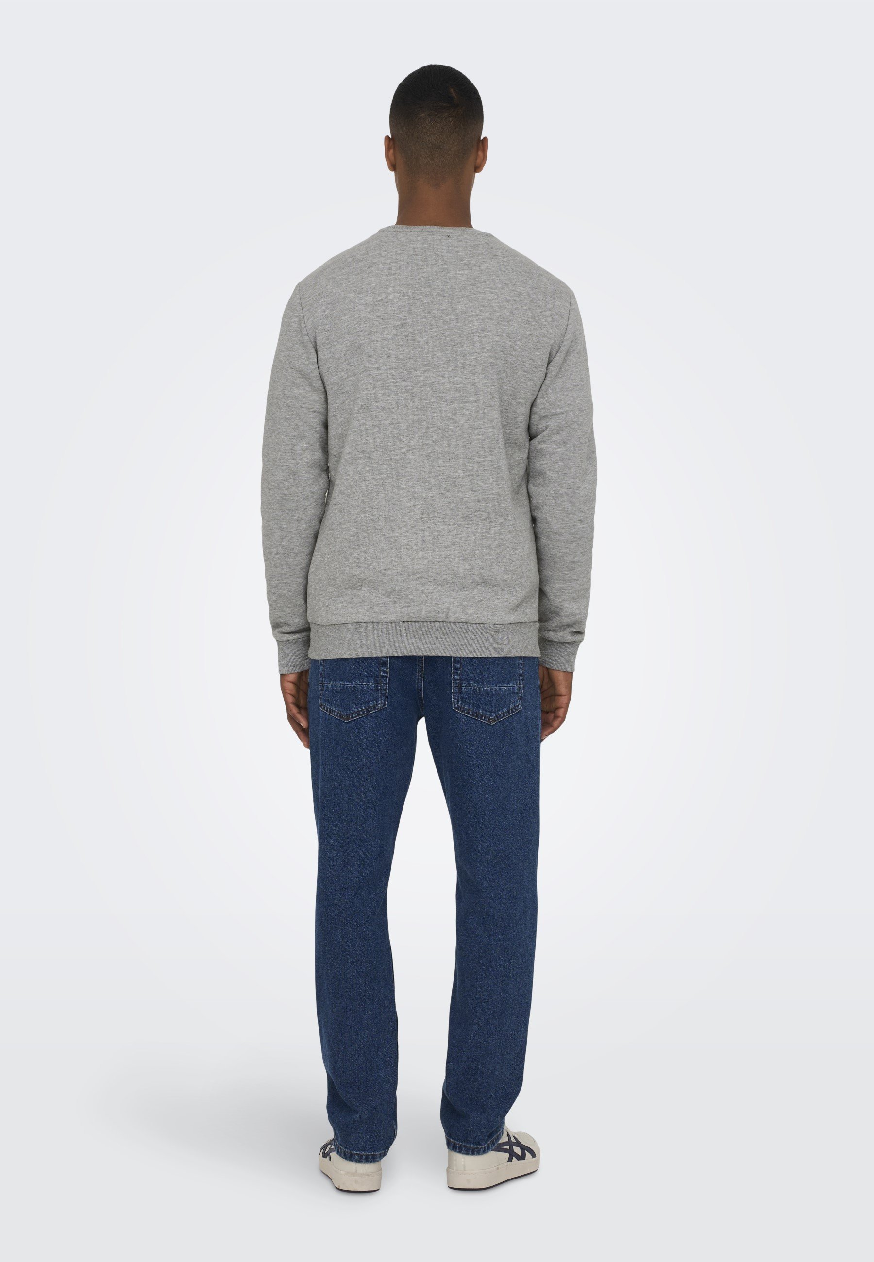 Only & Sons ONSCERES LIFE CREW NECK - Huppari - light grey melange