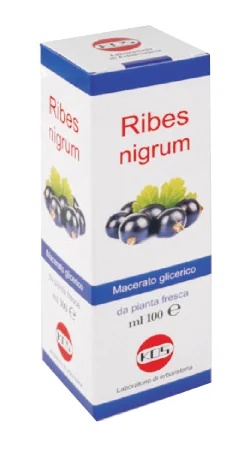KOS Ribes Nigrum Mg 100 ml druppels