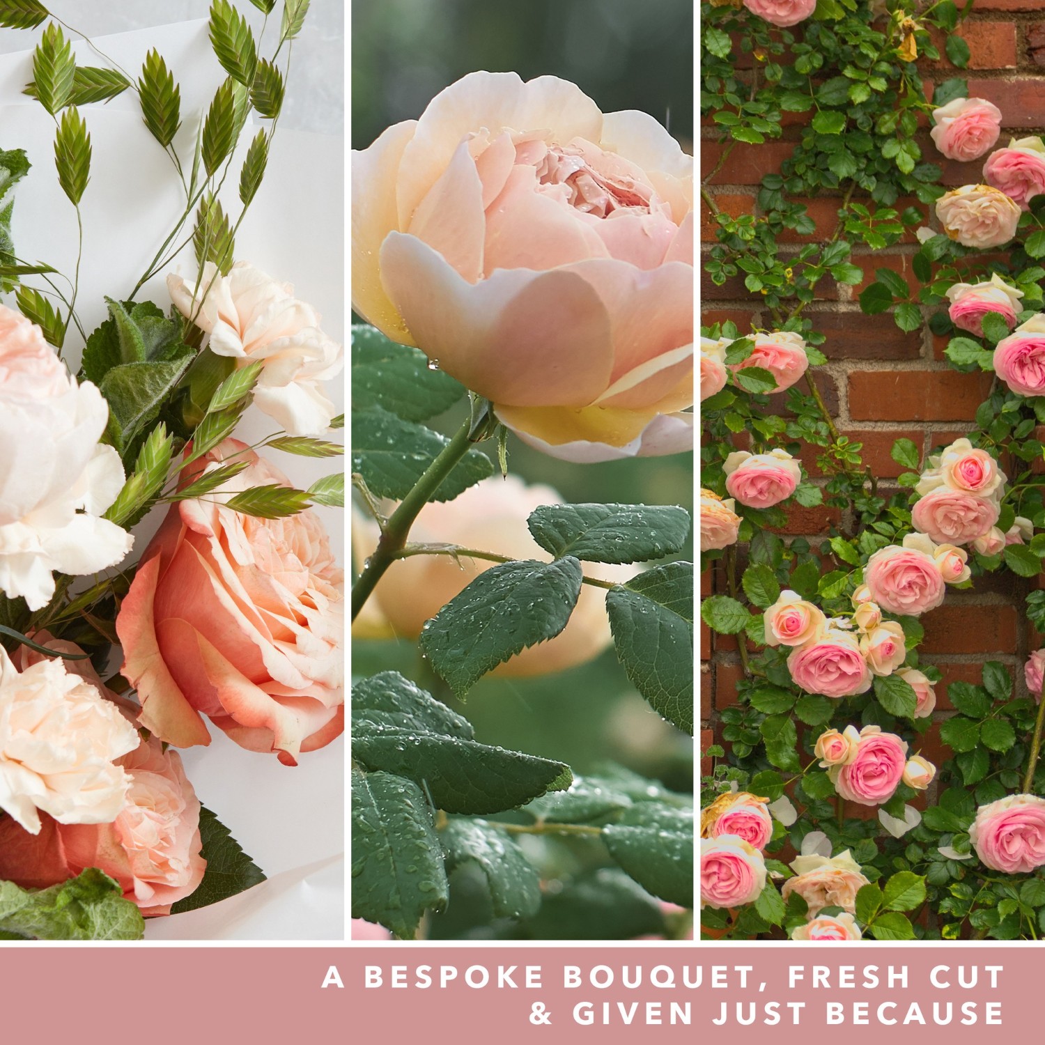 YANKEE CANDLE Moyenne Jarre Roses Fraîchement Coupées