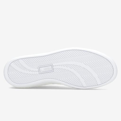 Puma Sus