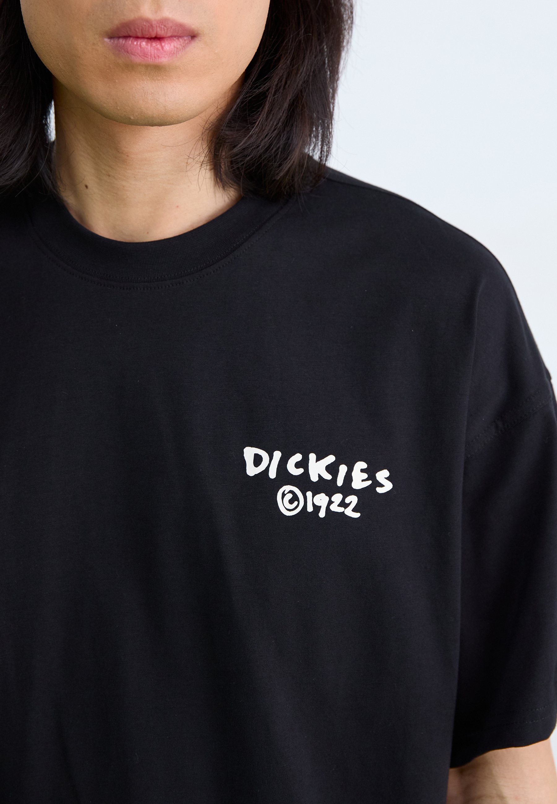 Trička s potiskem Dickies
