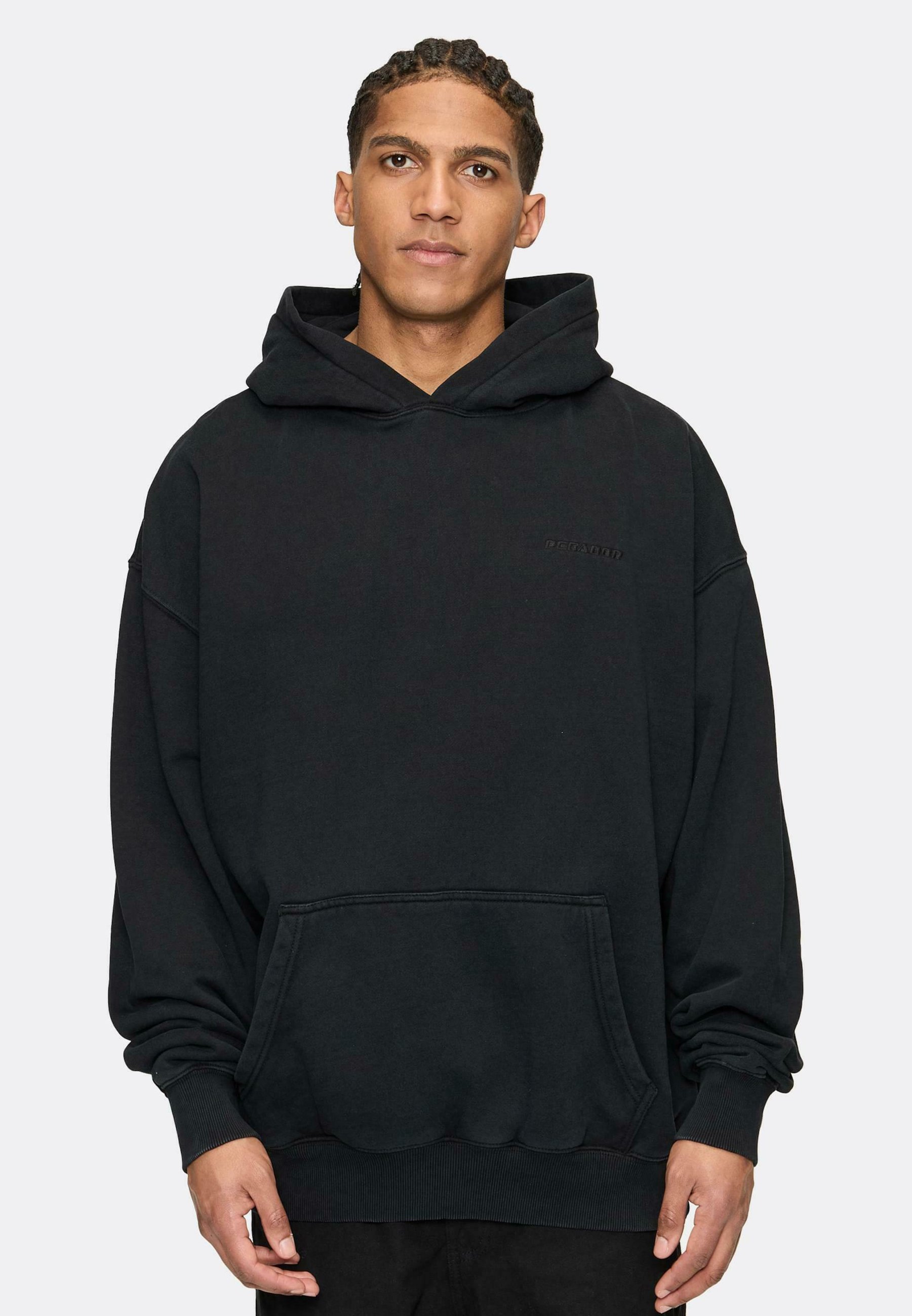 Pegador gobtuvai