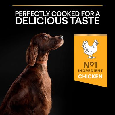 PURINA PRO PLAN Große Portion für sportliche Erwachsene – tägliche Ernährung