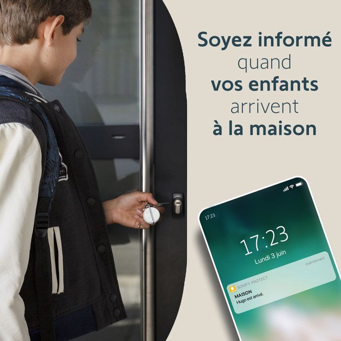 SOMFY 2401489 - Badge per attivazione e disattivazione allarme - Funzione vivavoce - Compatibile con Somfy Home Alarm (Advanced)