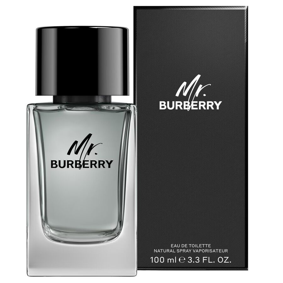 Burberry Mr. Burberry för män