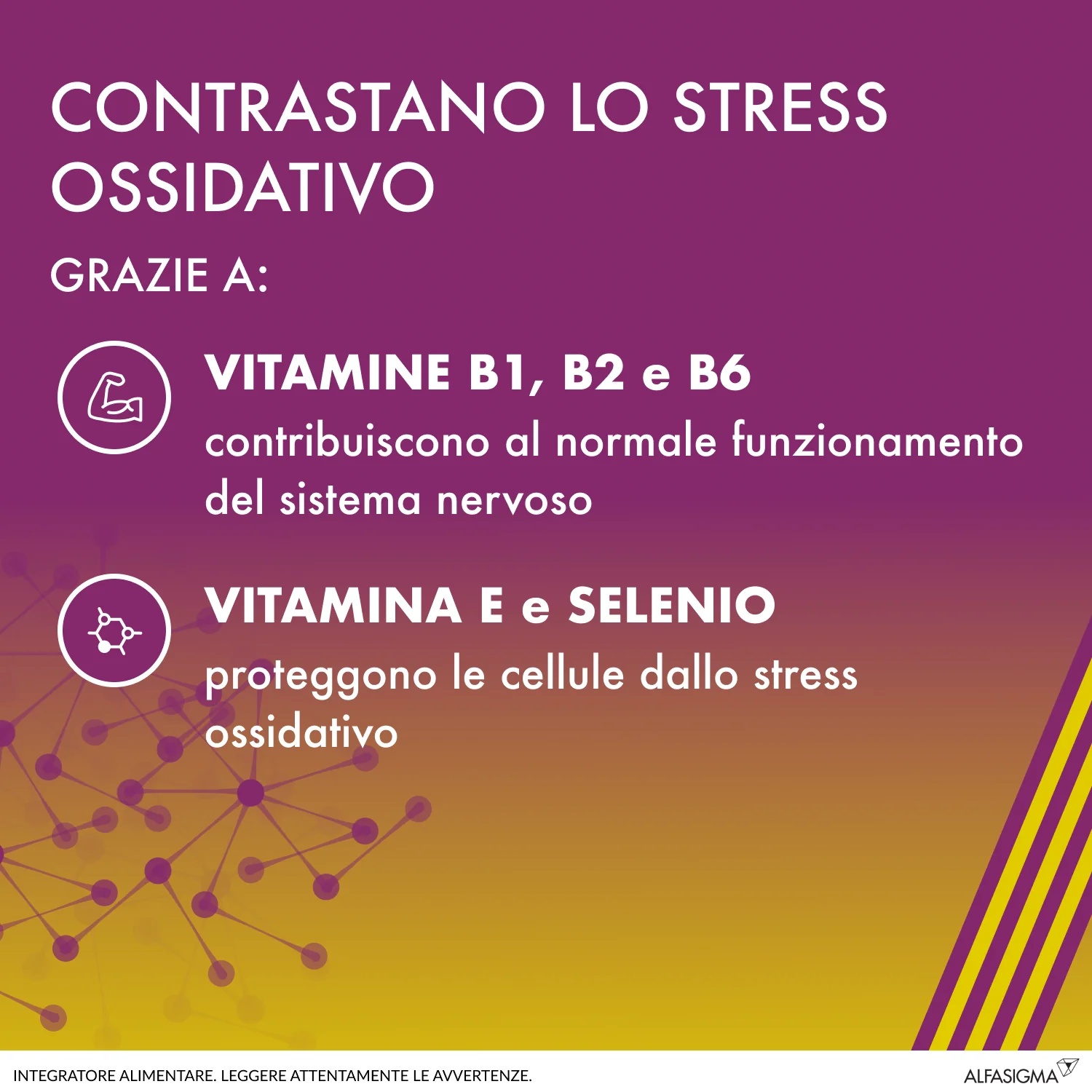 ALA Alanerv On Neurotrophic 20 comprimidos Suplemento antioxidante