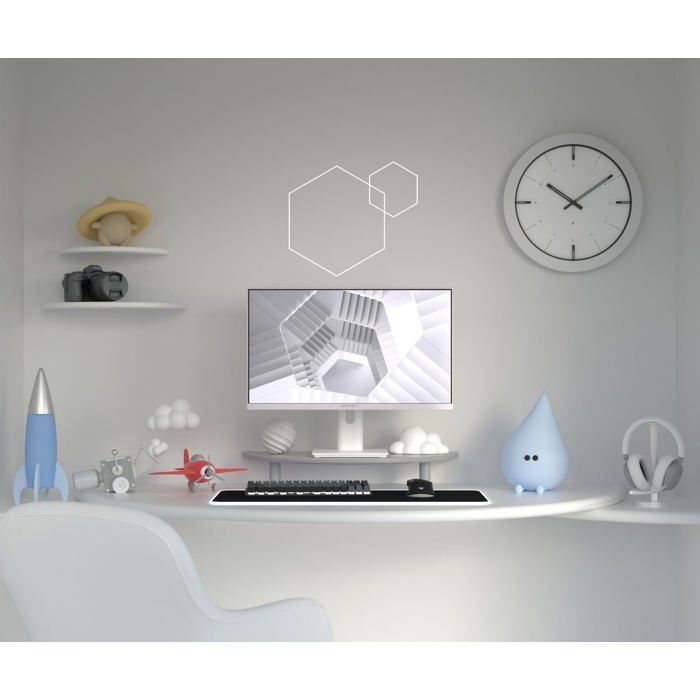 Ecran PC Gamer - JAPANNEXT - 23.8