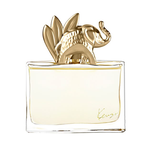 Džungle | 100 ml